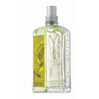 陽光馬鞭草淡香水